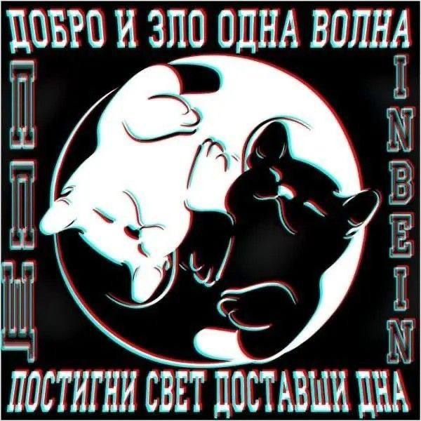 Morgan, 17 лет, Москва