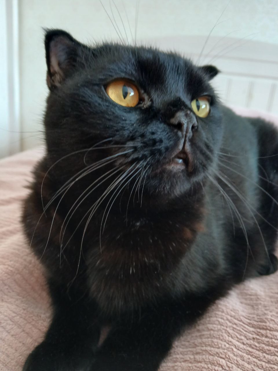 Марианна, 16 лет, Тюмень