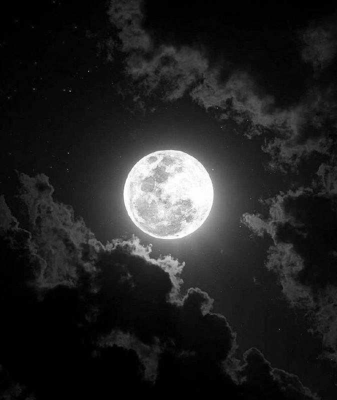 Moon 🌙, 25 лет, Нижний Новгород