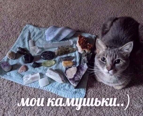 Туариш, 17 лет, Благовещенск