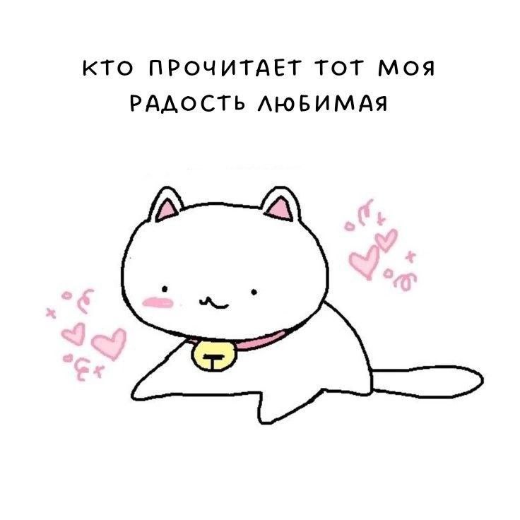 Ди, 23 лет, Ростов-на-Дону