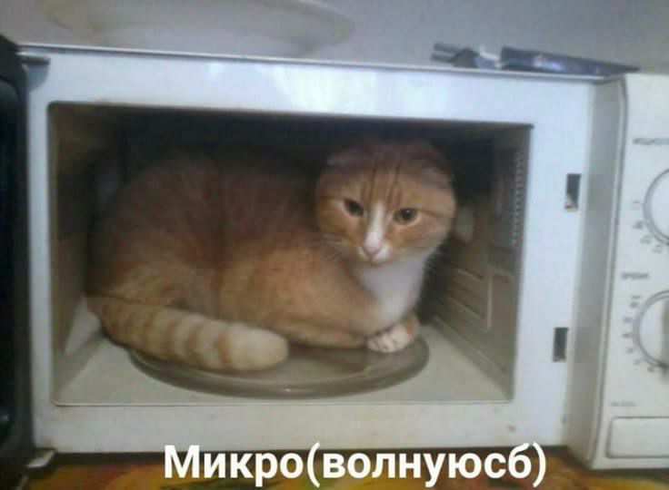 Nix, 26 лет, Новосибирск