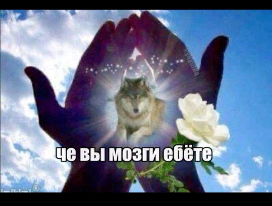 Л, 18 лет, Кашкадарьинская область