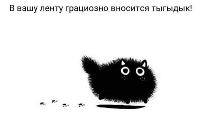 Летта, 19 лет, Ростовская область