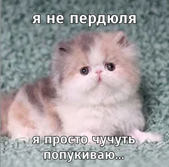 Ксю, 21 лет, Москва