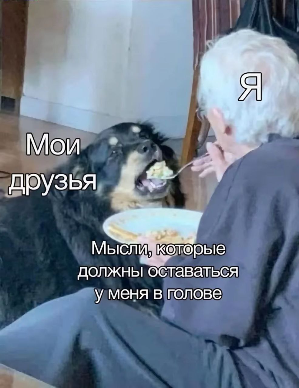 Кто сказал мяу?, 22 лет, Смоленская область