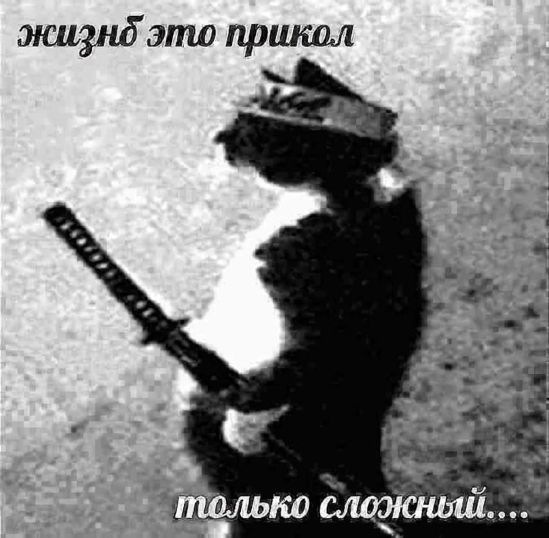 Димка, 27 лет, Верхняя Пышма