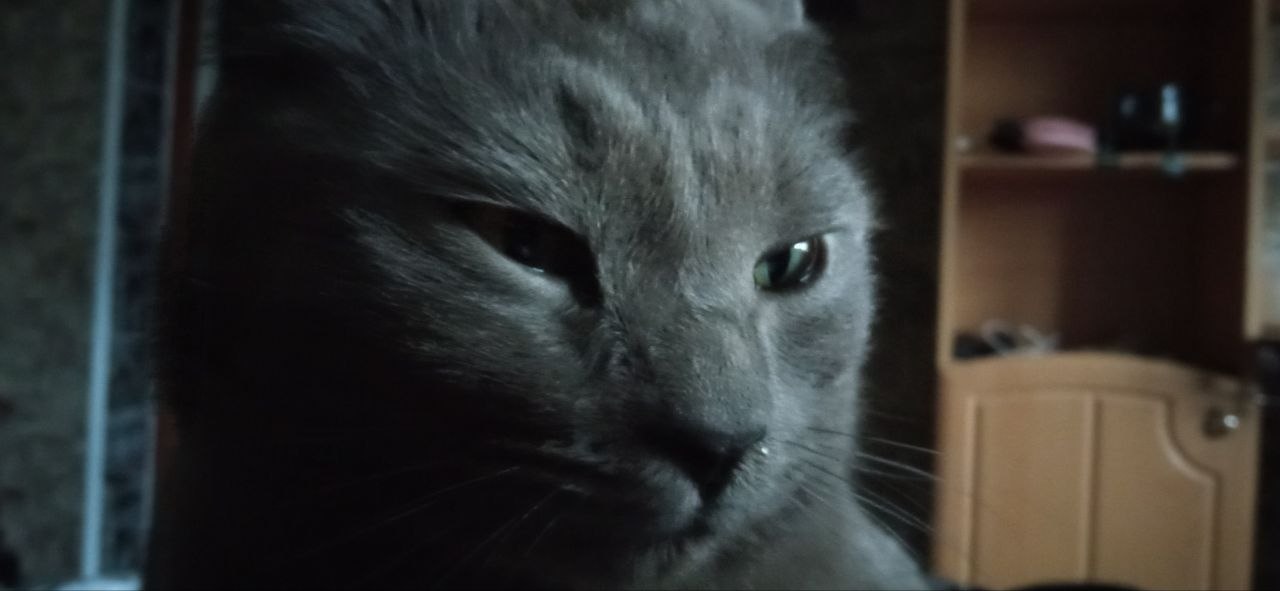 Данил, 24 лет, Костромская область
