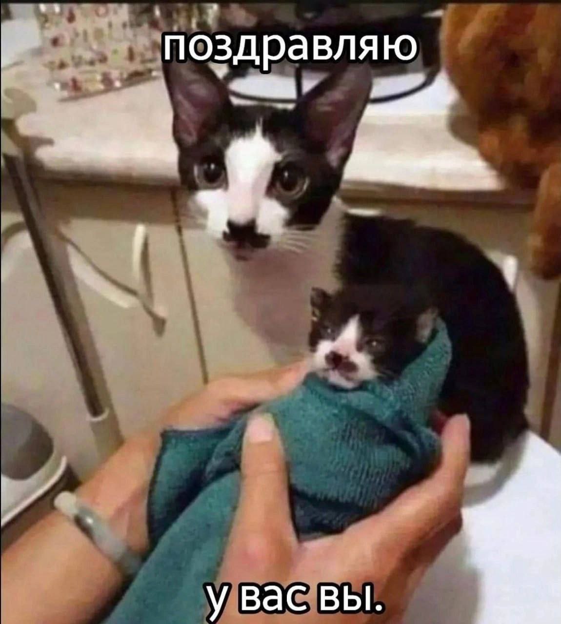 Лерусенок(Лера), 16 лет, Барнаул