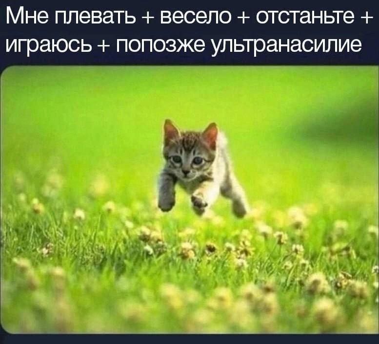 1.Сай, 22 лет, Таганрог