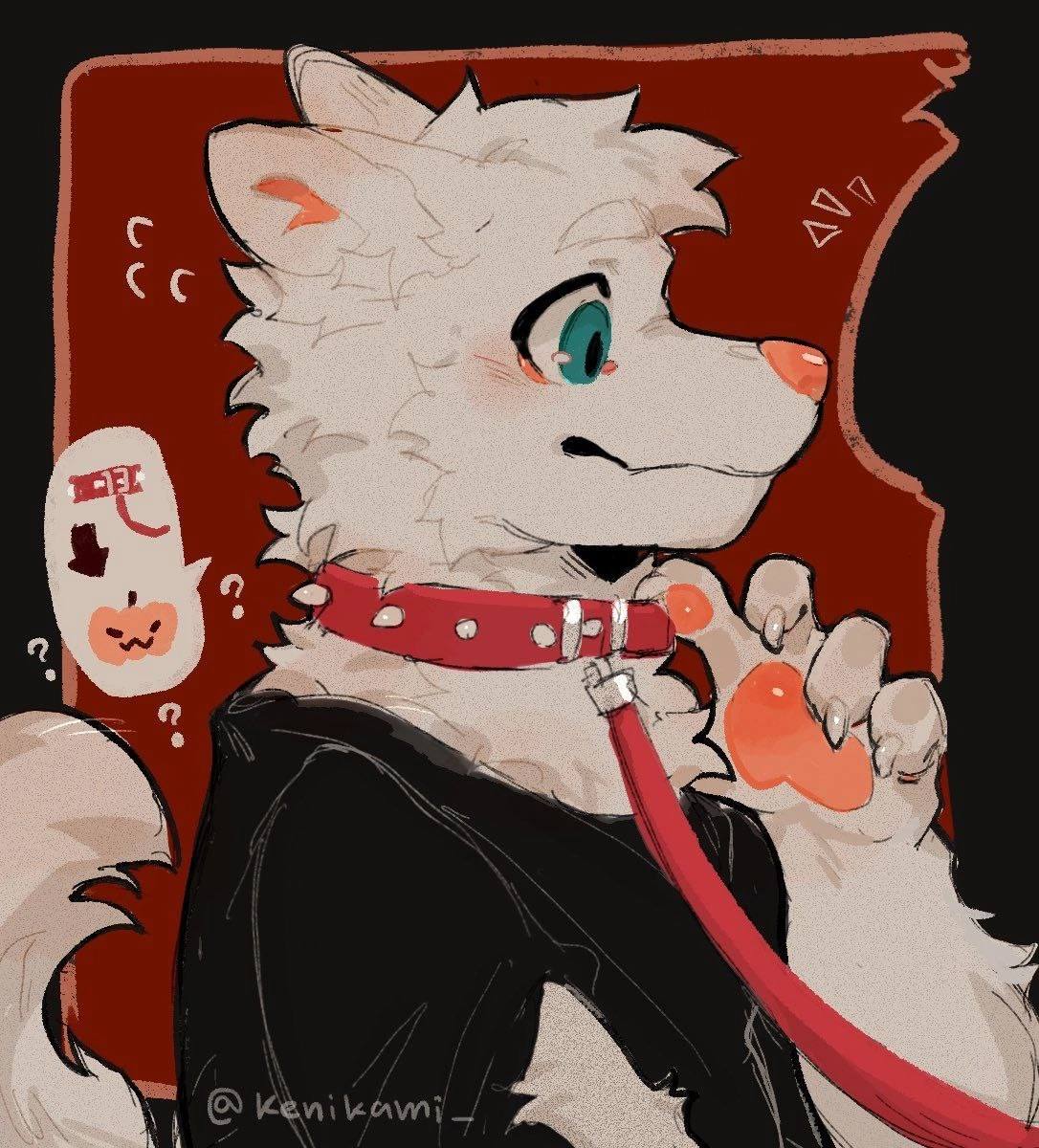lexa_woof, 18 лет, Москва