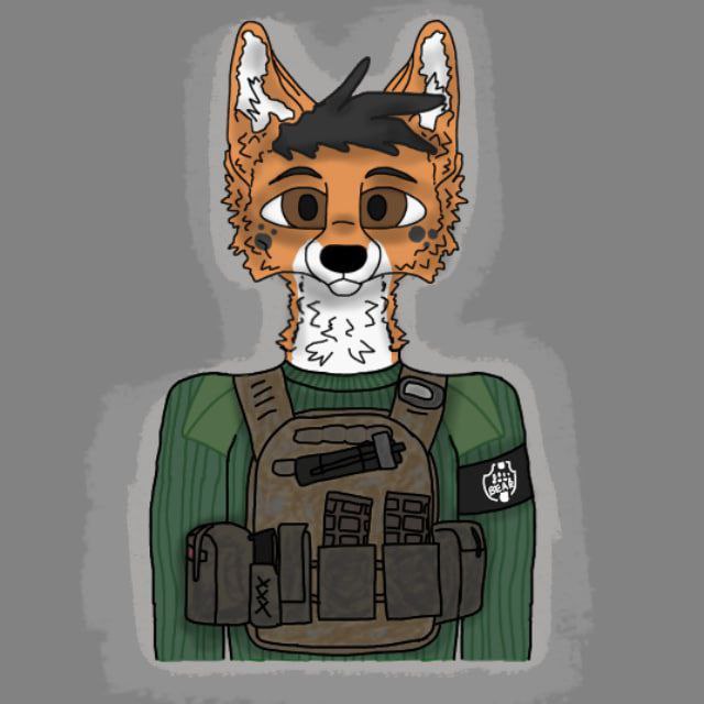 fox228666, 18 лет, Всеволожск