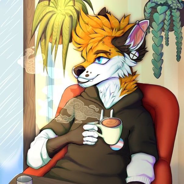 gybr1d, 18 лет, Москва