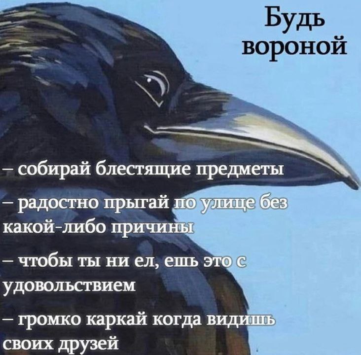 Lain, 22 лет, Москва