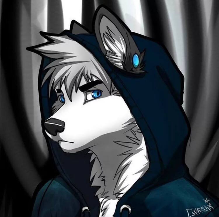 dimonStalker2Furry, 18 лет, Губкин
