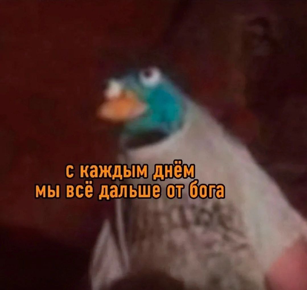 SLDC21, 18 лет, Саратов