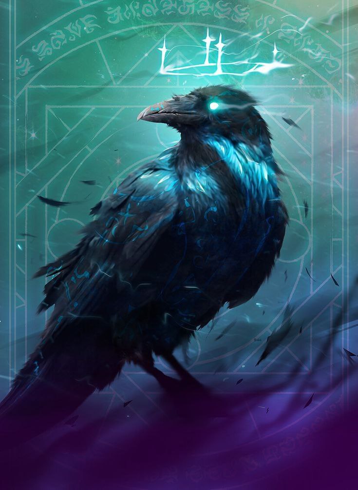 Raven, 22 лет, Москва