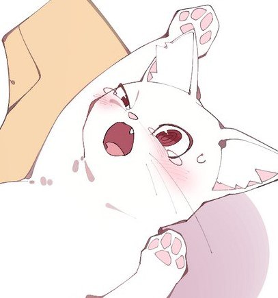 Анастасия, 17 лет, Кошечка