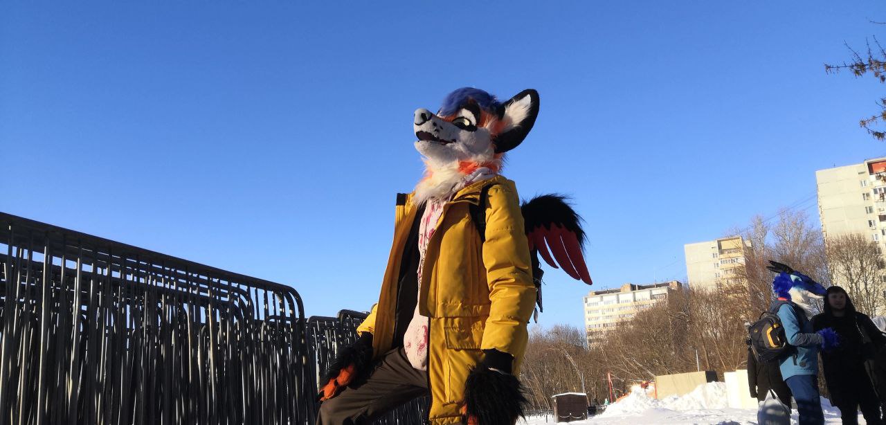 DeadMetalFox, 18 лет, Москва