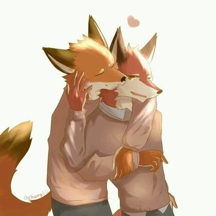 dante_fox228, 18 лет, Котлас