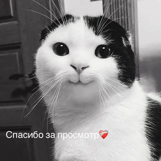 Жибка, 18 лет, Москва