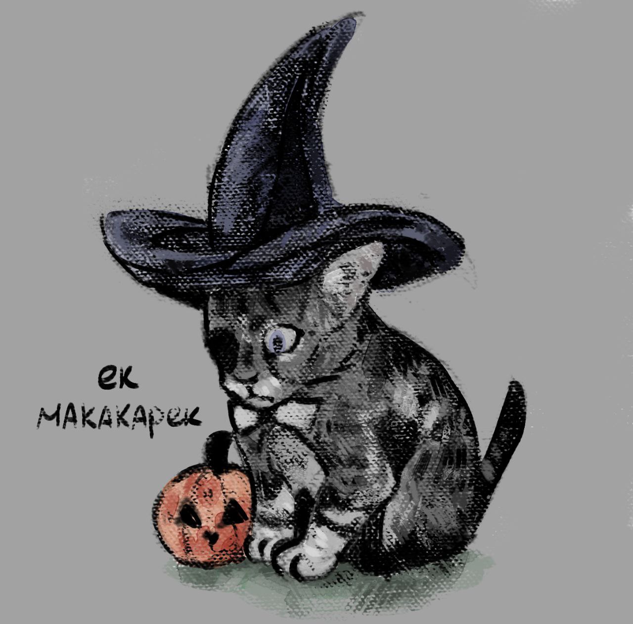 CatAsslol, 19 лет, Воронеж