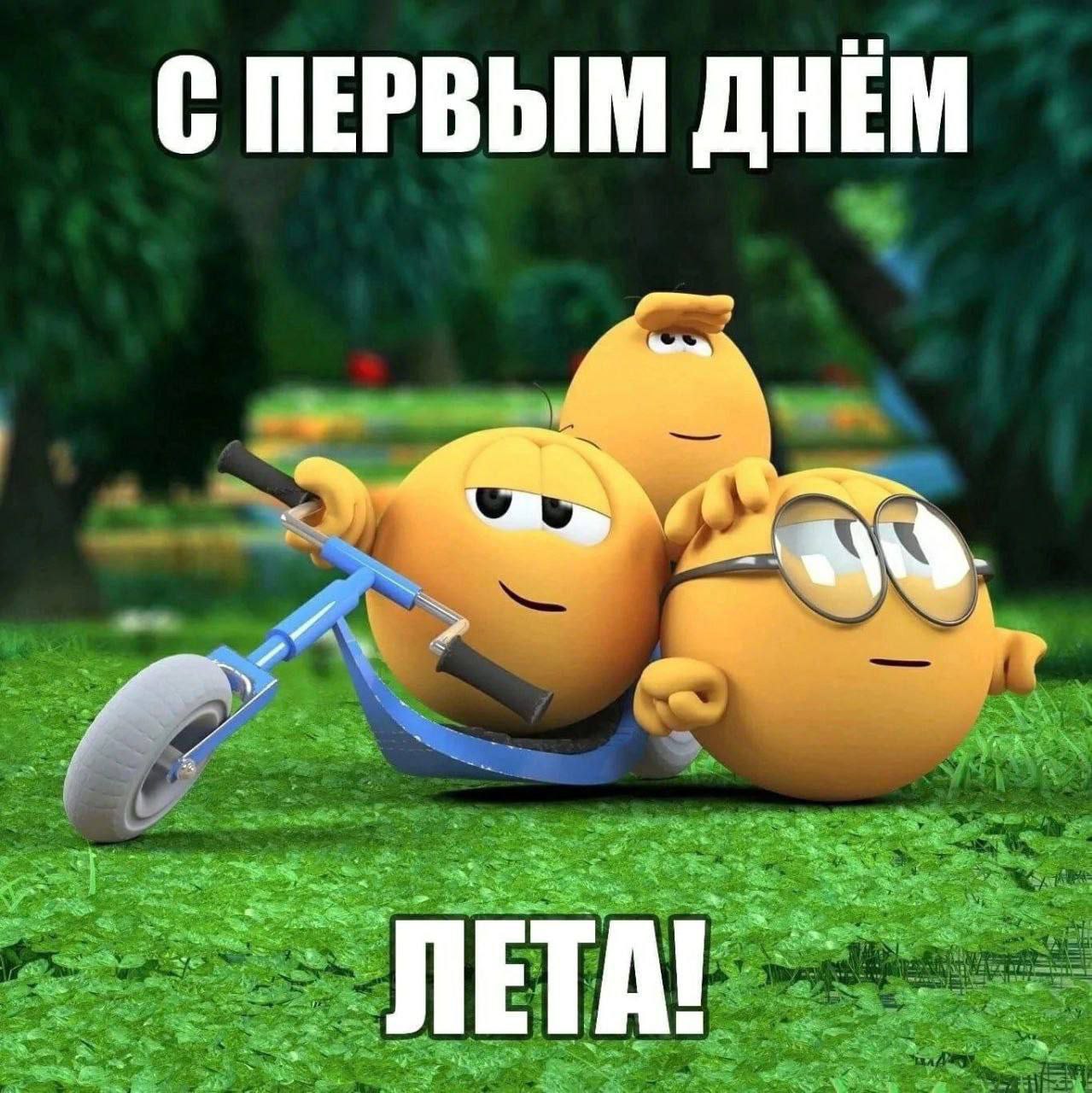 Гулёныш, 17 лет, Москва