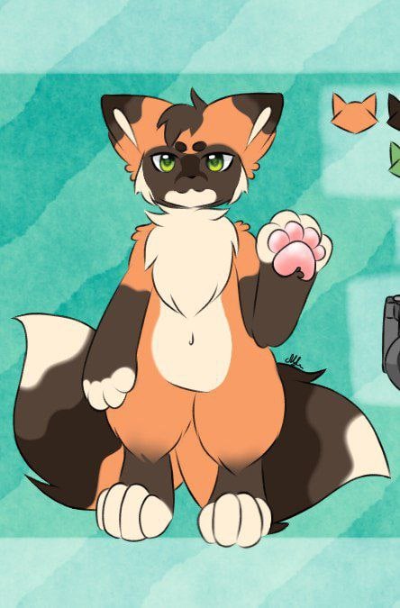 FoxPeom, 18 лет, Бахчисарай