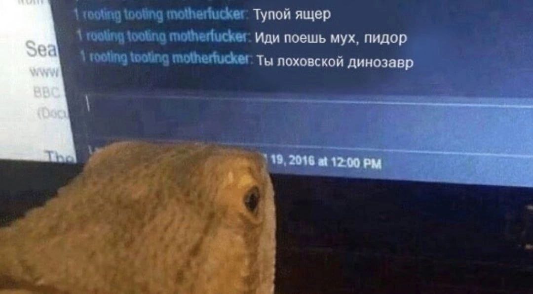 snake_zmeuka, 18 лет, Омск