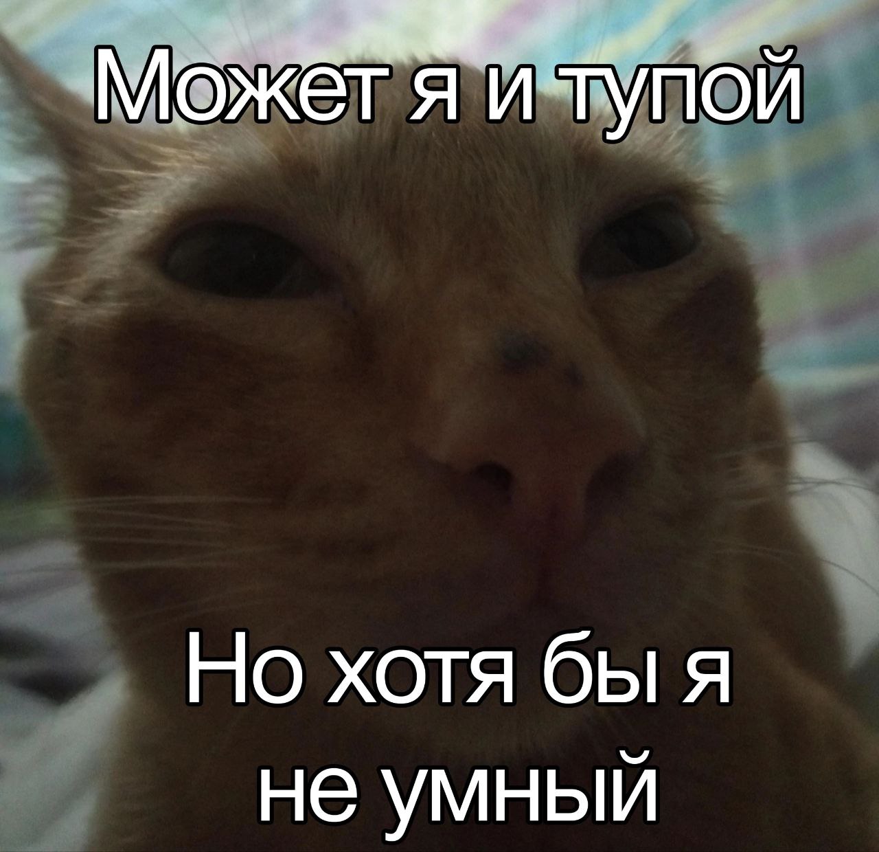 Kukukimber, 21 лет, Москва