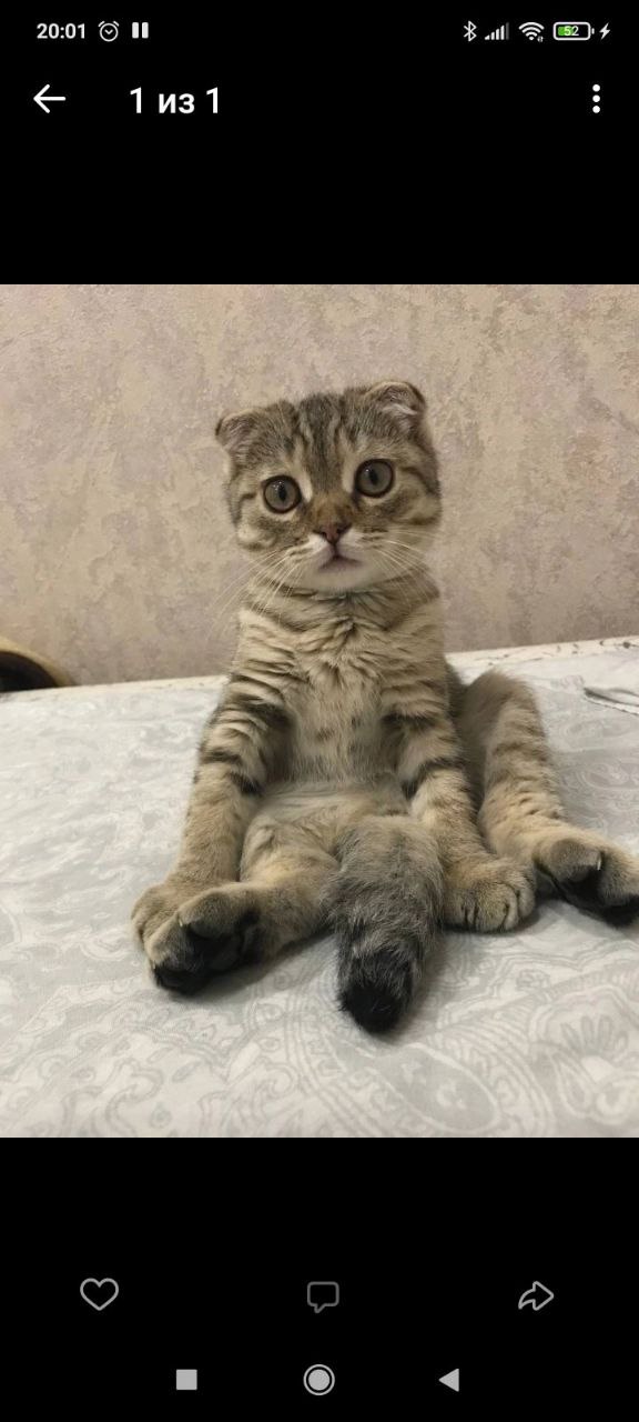AbroshaYa, 18 лет, Нижний Новгород