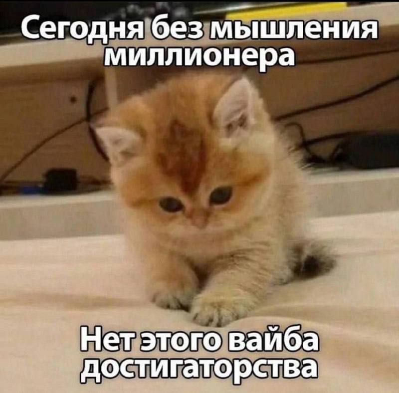 mr_nervniy, 18 лет, Стерлитамак