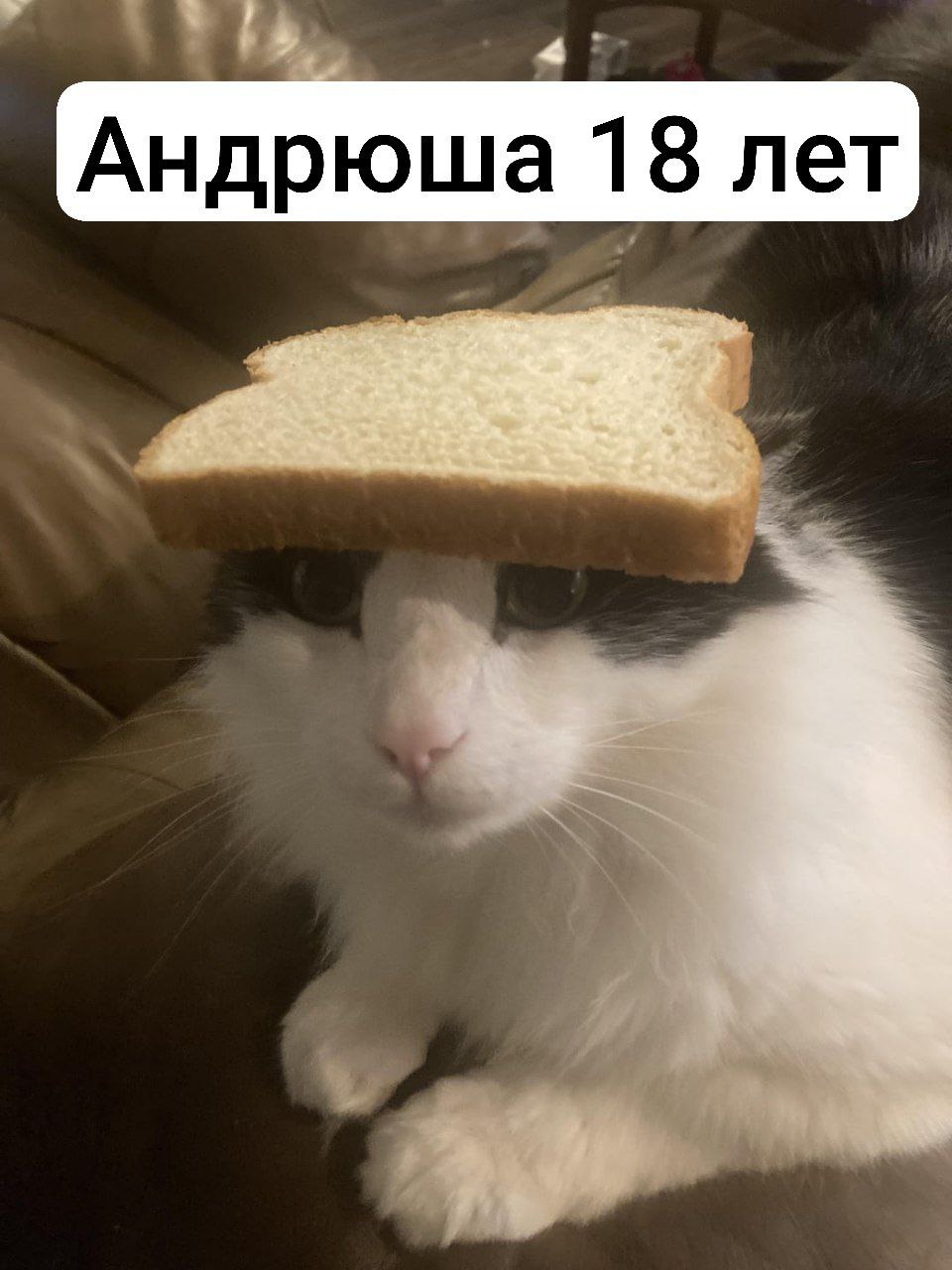 DroidEm, 18 лет, Москва
