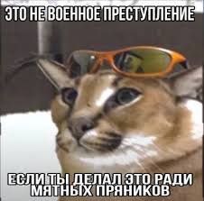 peoplehating, 18 лет, Москва