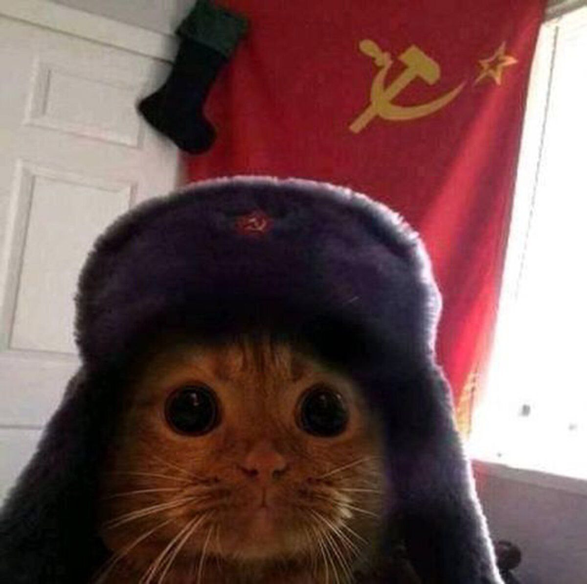 markys2009, 18 лет, Вологда