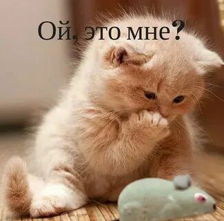 nicknameruk, 18 лет, Бийск