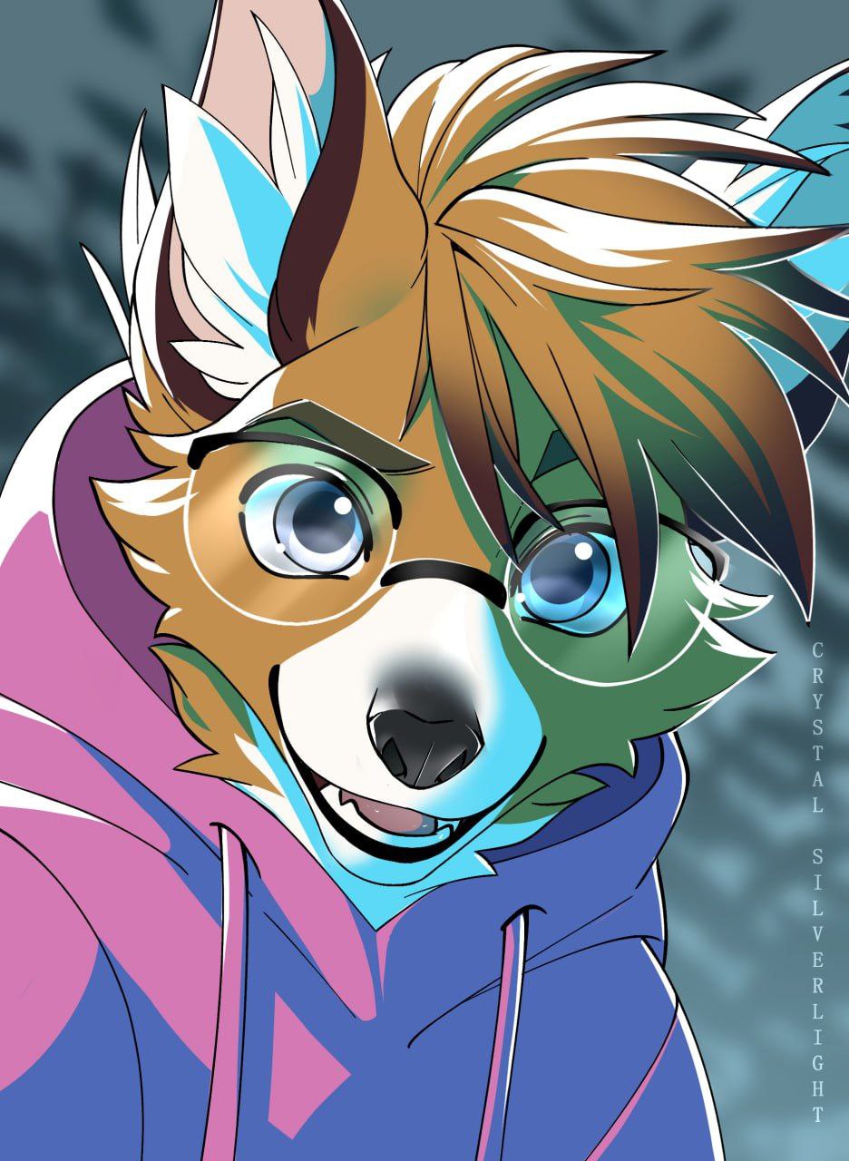 FireFoxAiden, 18 лет, Москва