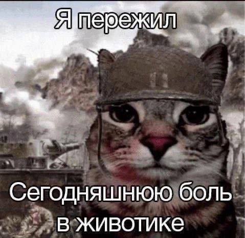 sandler_UwU, 18 лет, Москва