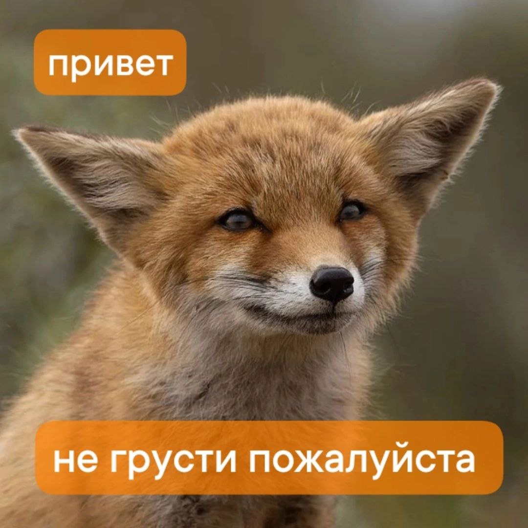 CAriSwetyR34, 18 лет, Тюмень