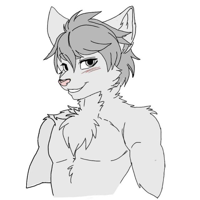 FurryFeniks, 19 лет, Томск