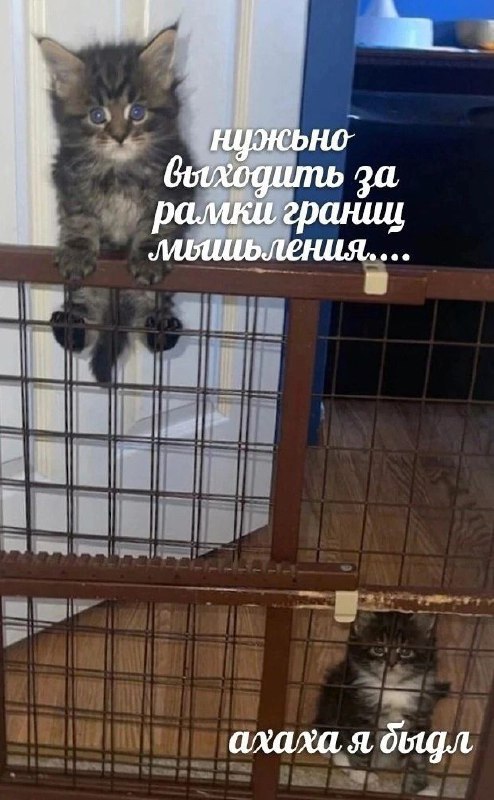 Owlord_OwO, 19 лет, Новосибирск