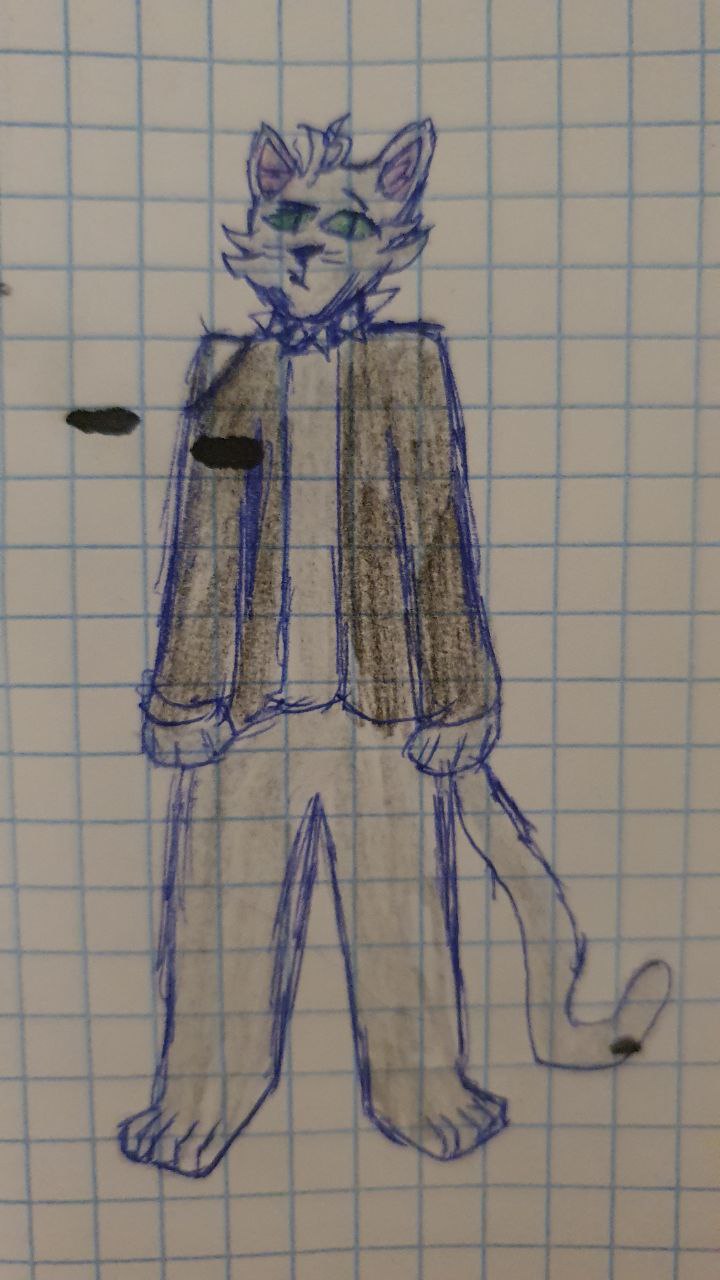 FurryTheCollector, 18 лет, Красноярск