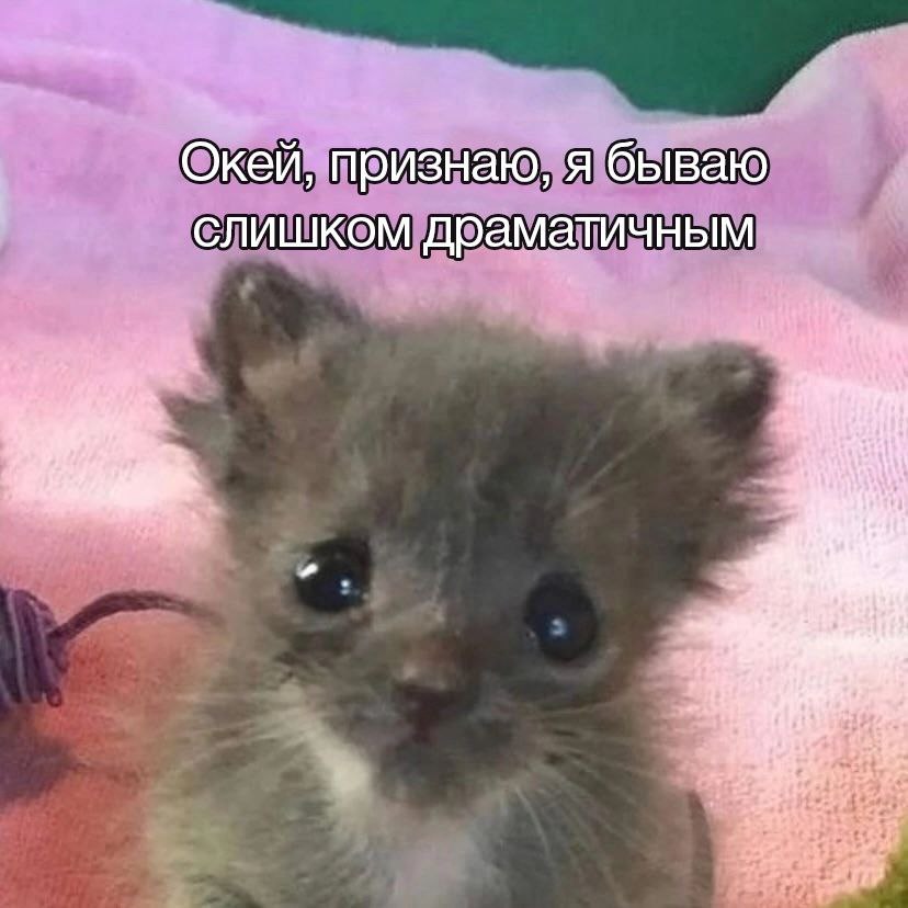 mega_taburet, 19 лет, Керчь