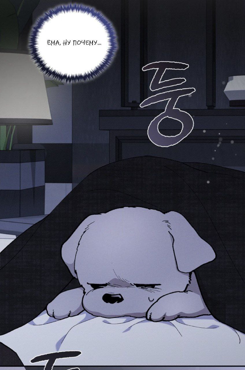 Puppydog2, 18 лет, Нижний Новгород