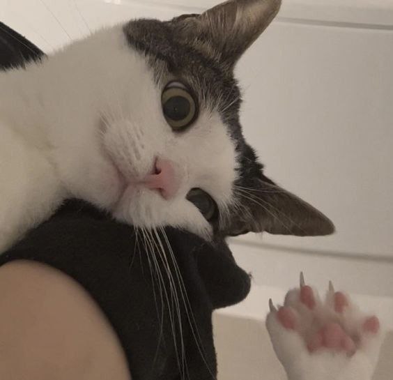 MukiZuki, 18 лет, Краснодар