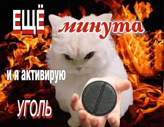 flysik21, 16 лет, Новосибирск
