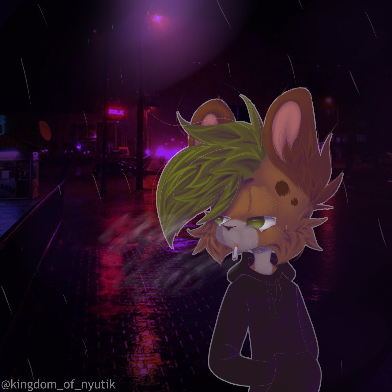 hyenaowo, 18 лет, Карелия