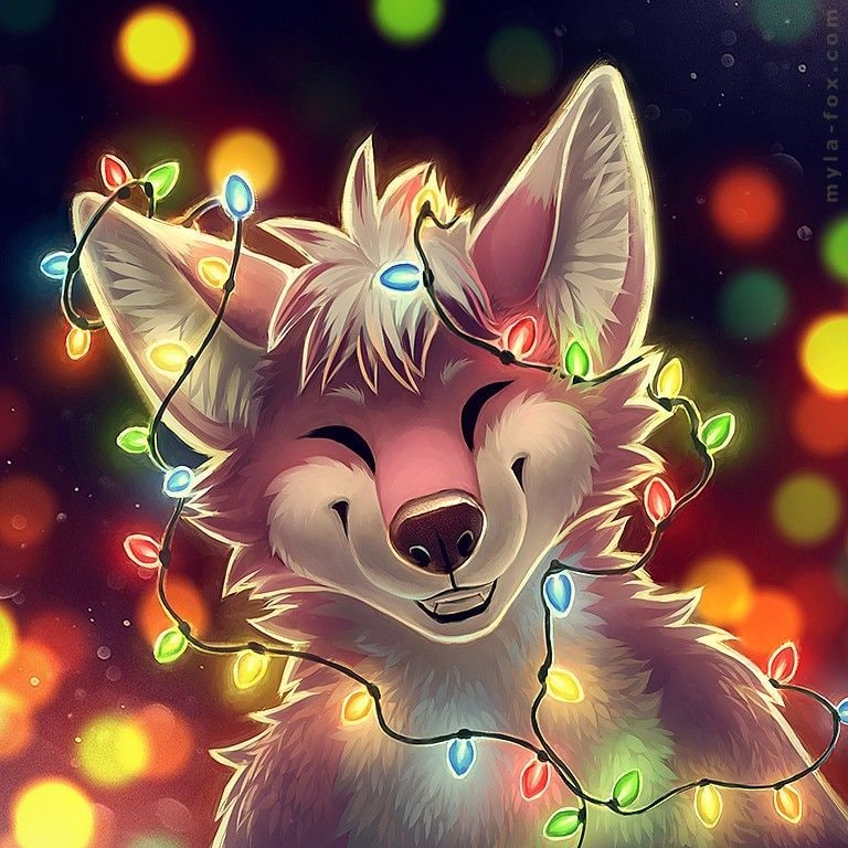 fraer_Wolfi, 18 лет, Энгельс