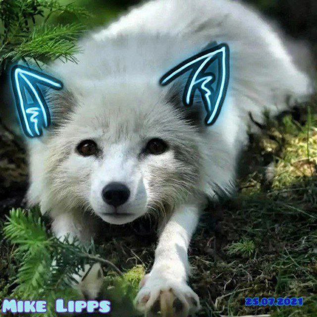 Mike_Lipps, 18 лет, Москва