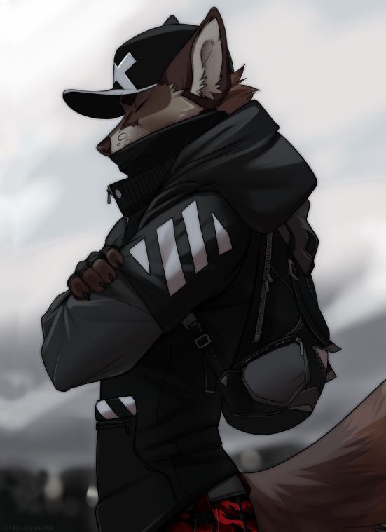 miroslavFurry, 18 лет, Киев